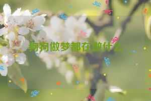 狗狗做梦都在做什么