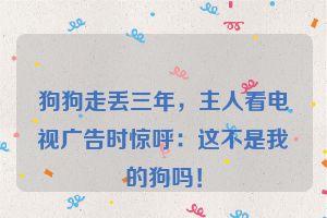 狗狗走丢三年，主人看电视广告时惊呼：这不是我的狗吗！