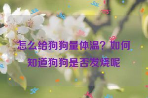 怎么给狗狗量体温?如何知道狗狗是否发烧呢