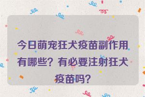 今日萌宠狂犬疫苗副作用有哪些？有必要注射狂犬疫苗吗？