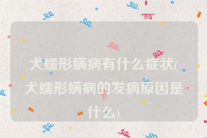 犬蠕形螨病有什么症状(犬蠕形螨病的发病原因是什么)