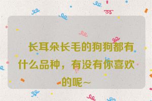 ​长耳朵长毛的狗狗都有什么品种，有没有你喜欢的呢~