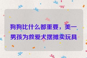 狗狗比什么都重要，美一男孩为救爱犬摆摊卖玩具