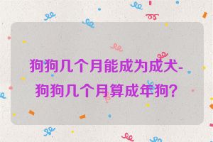 狗狗几个月能成为成犬-狗狗几个月算成年狗？