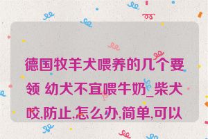 德国牧羊犬喂养的几个要领 幼犬不宜喂牛奶_柴犬咬,防止,怎么办,简单,可以