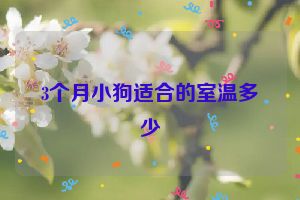 3个月小狗适合的室温多少