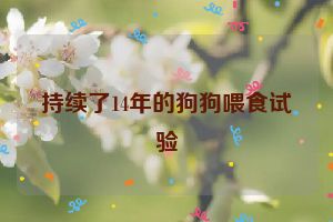 持续了14年的狗狗喂食试验