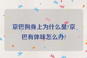 京巴狗身上为什么臭?京巴有体味怎么办?