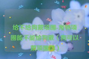 给不给狗戴项圈-宠物项圈能不能给狗戴（狗可以戴项圈吗）