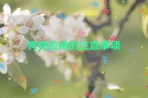 狗狗拉稀的注意事项