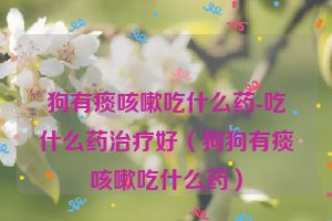 狗有痰咳嗽吃什么药-吃什么药治疗好（狗狗有痰咳嗽吃什么药）