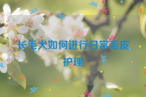 长毛犬如何进行日常毛皮护理