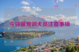 今日萌宠训犬员注意事项