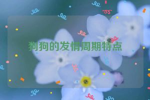 狗狗的发情周期特点