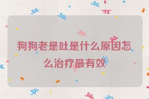 狗狗老是吐是什么原因怎么治疗最有效