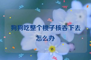 狗狗吃整个桃子核吞下去怎么办