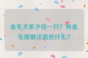 金毛犬多少钱一只？养金毛需要注意些什么？