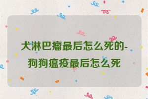 犬淋巴瘤最后怎么死的-狗狗瘟疫最后怎么死