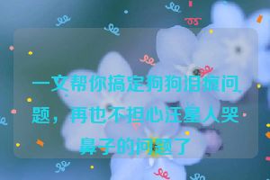 一文帮你搞定狗狗泪痕问题，再也不担心汪星人哭鼻子的问题了
