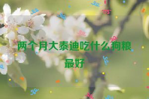 两个月大泰迪吃什么狗粮最好