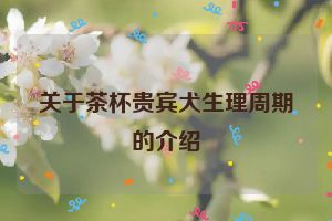 关于茶杯贵宾犬生理周期的介绍