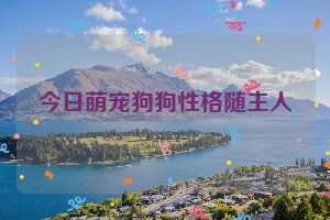 今日萌宠狗狗性格随主人