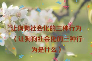 让狗狗社会化的三种行为（让狗狗社会化的三种行为是什么）