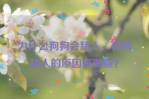 为什么狗狗会舔人，狗狗舔人的原因有哪些？