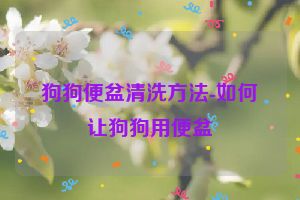 狗狗便盆清洗方法-如何让狗狗用便盆