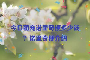 今日萌宠诺里奇梗多少钱？诺里奇梗介绍