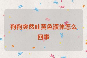狗狗突然吐黄色液体怎么回事