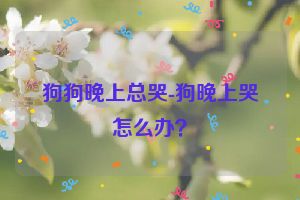 狗狗晚上总哭-狗晚上哭怎么办？