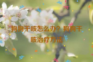 狗狗干咳怎么办？狗狗干咳治疗方法