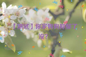 【测试】你家狗狗抑郁了没？