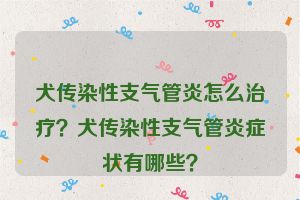 犬传染性支气管炎怎么治疗？犬传染性支气管炎症状有哪些？