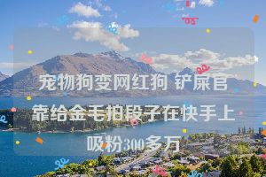 宠物狗变网红狗 铲屎官靠给金毛拍段子在快手上吸粉300多万