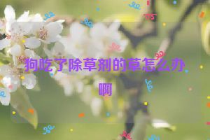 狗吃了除草剂的草怎么办啊