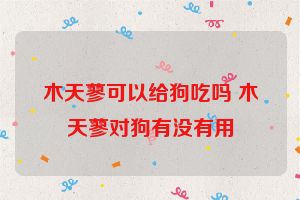 木天蓼可以给狗吃吗 木天蓼对狗有没有用