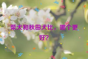 柴犬和秋田犬比，哪个更好？