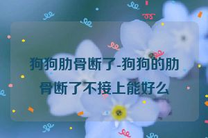 狗狗肋骨断了-狗狗的肋骨断了不接上能好么