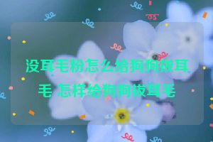 没耳毛粉怎么给狗狗拔耳毛 怎样给狗狗拔耳毛