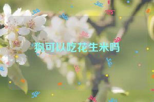 狗可以吃花生米吗