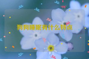 狗狗睡眠有什么特点