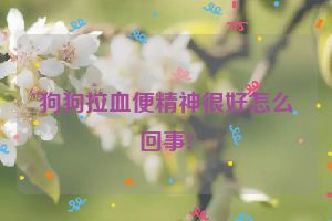 狗狗拉血便精神很好怎么回事?