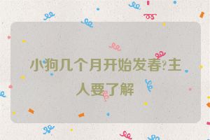 小狗几个月开始发春?主人要了解