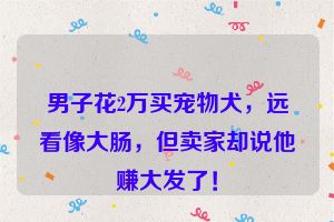 男子花2万买宠物犬，远看像大肠，但卖家却说他赚大发了！