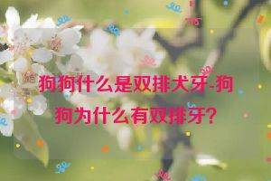 狗狗什么是双排犬牙-狗狗为什么有双排牙？