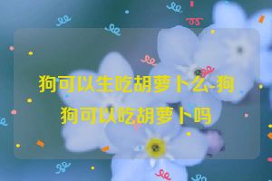 狗可以生吃胡萝卜么-狗狗可以吃胡萝卜吗