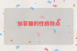 加菲猫的性格特点