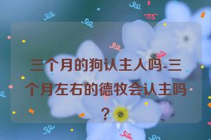 三个月的狗认主人吗-三个月左右的德牧会认主吗？